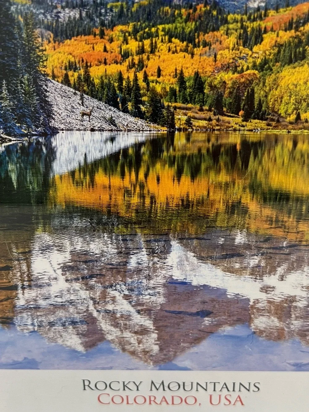 Eurographics Rocky Mountains Colorado USA 1000 Piece Jigsaw Puzzle New Sealed